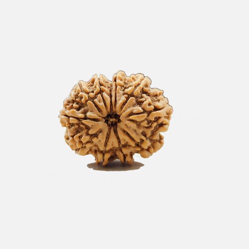 10mukhi