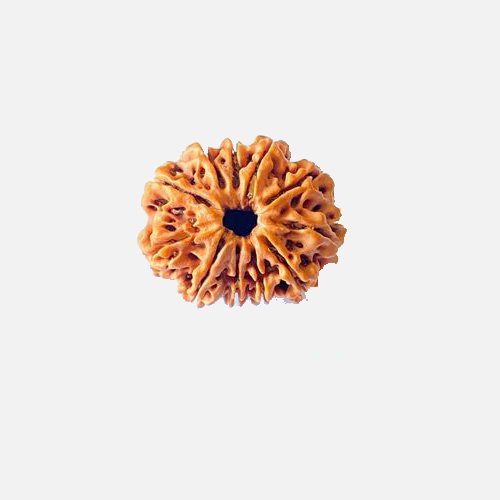 11mukhi