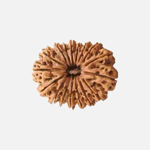 13mukhi