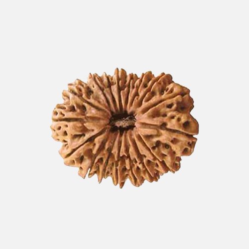 17mukhi
