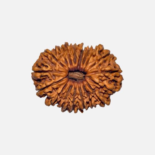 18mukhi