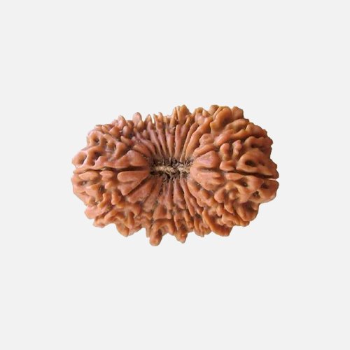 19mukhi