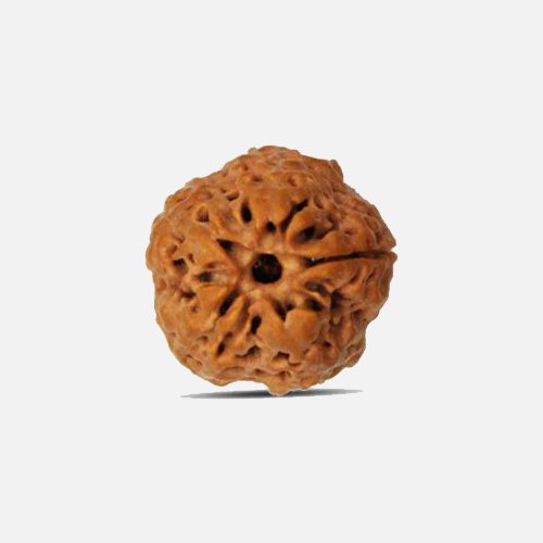 1mukhi