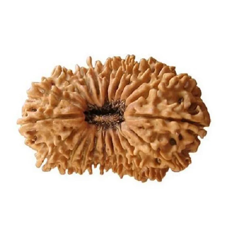 20mukhi