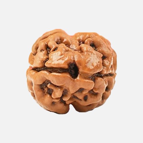2mukhi
