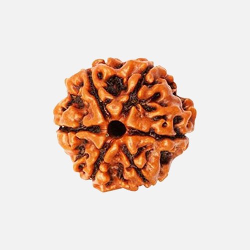 6mukhi