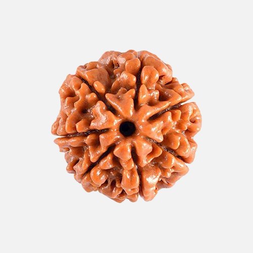 7mukhi