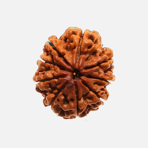 9mukhi